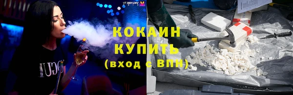 шишки Мегион