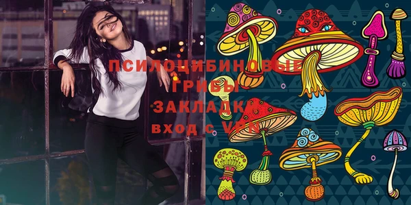 МДПВ Алексеевка