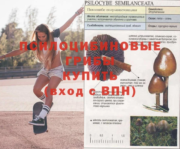 MESCALINE Алзамай