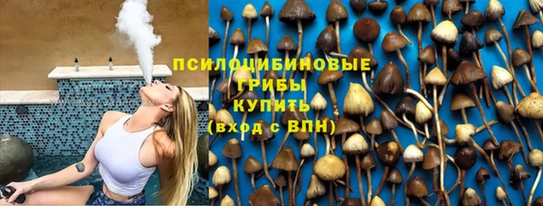 МДПВ Алексеевка