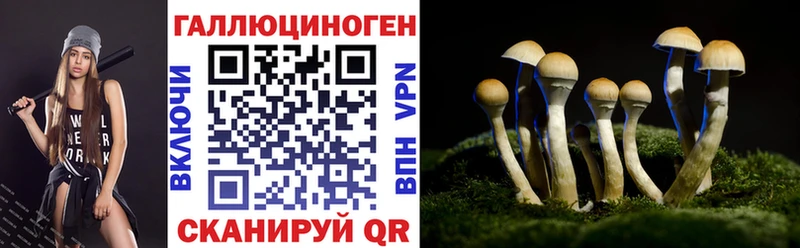 Псилоцибиновые грибы прущие грибы  Клинцы 