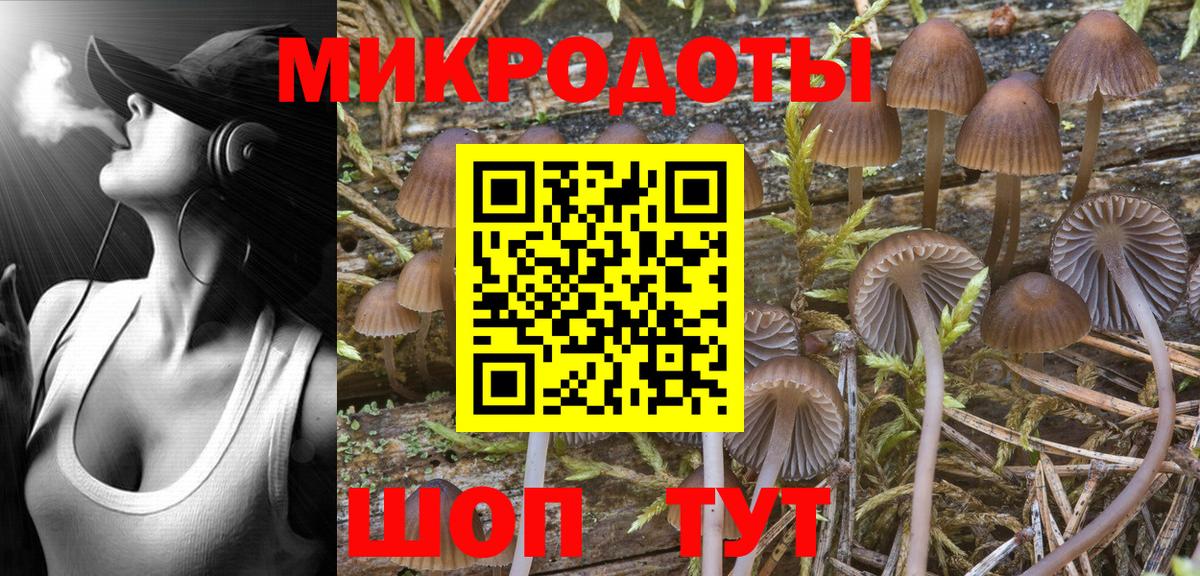 Галлюциногенные грибы Magic Shrooms Клинцы