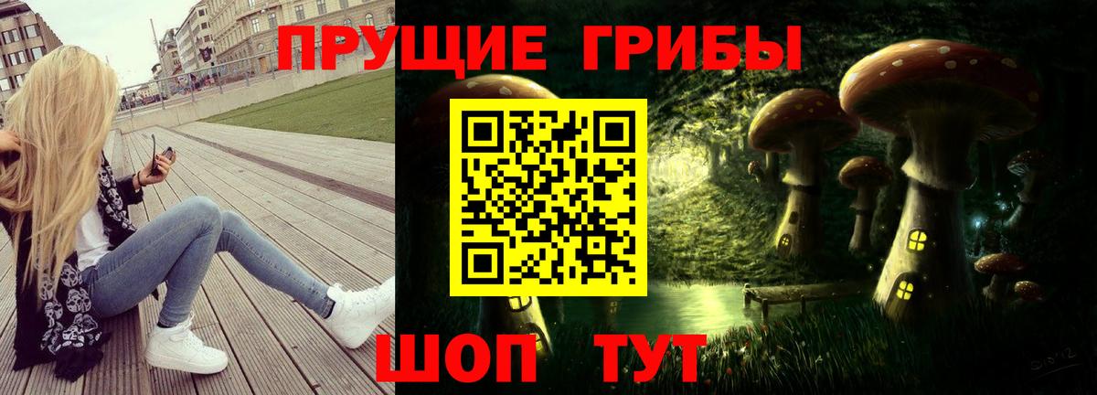 Галлюциногенные грибы мицелий  Вход с VPN  Клинцы 