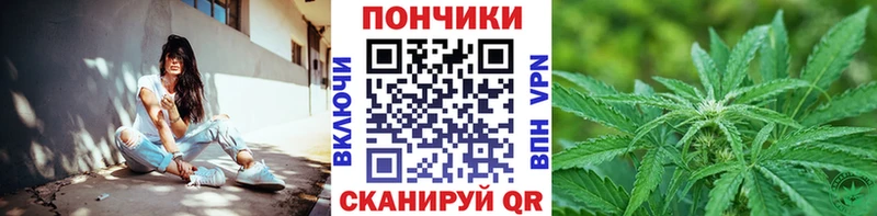 Бошки марихуана конопля  Клинцы 